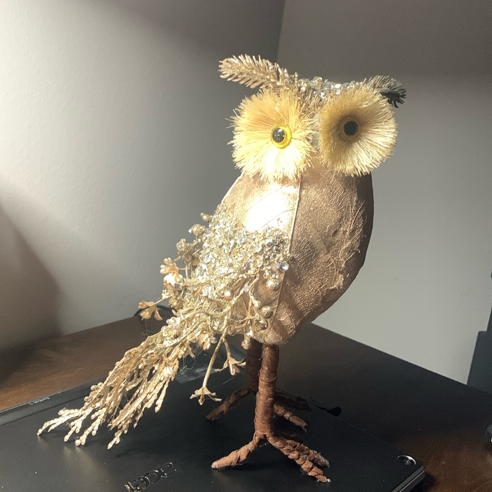 An owl 🦉 decorating piece for your collection.